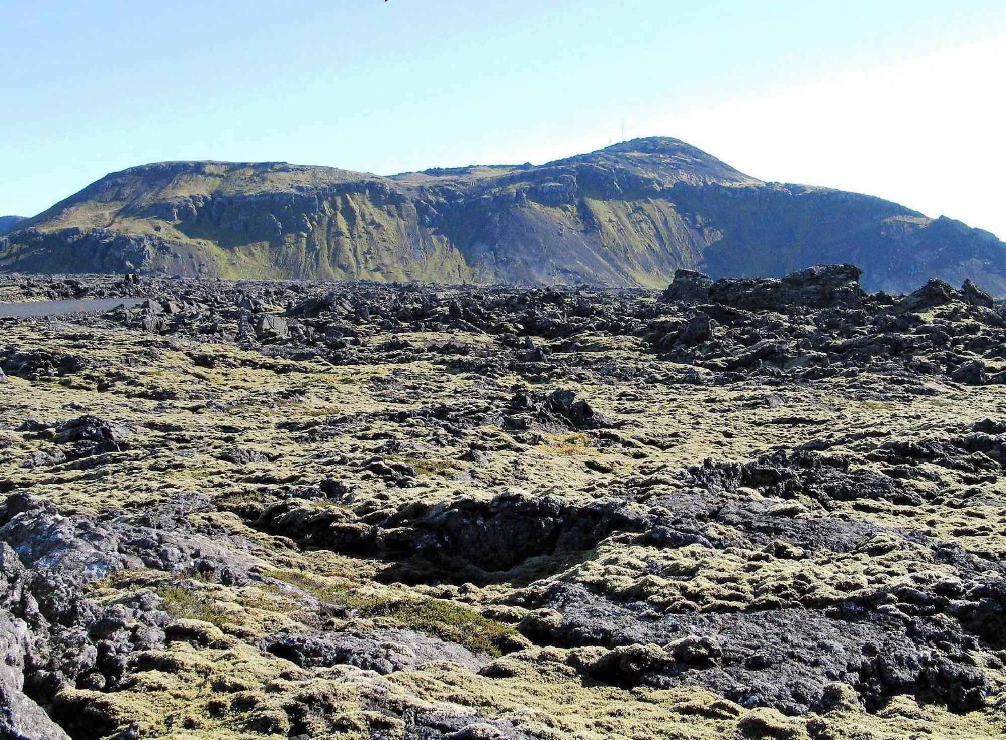 Reykjanes Guesthouse Grindavík Kültér fotó